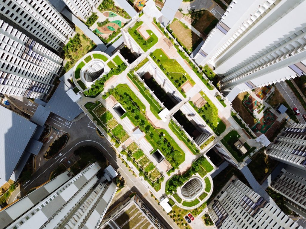 Een groen dak op je woning: meer dan alleen een trend